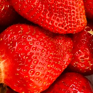 Erdbeeren_2022_2