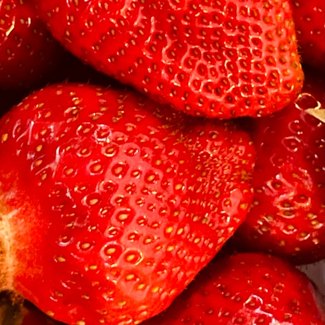 Erdbeeren_2022_2